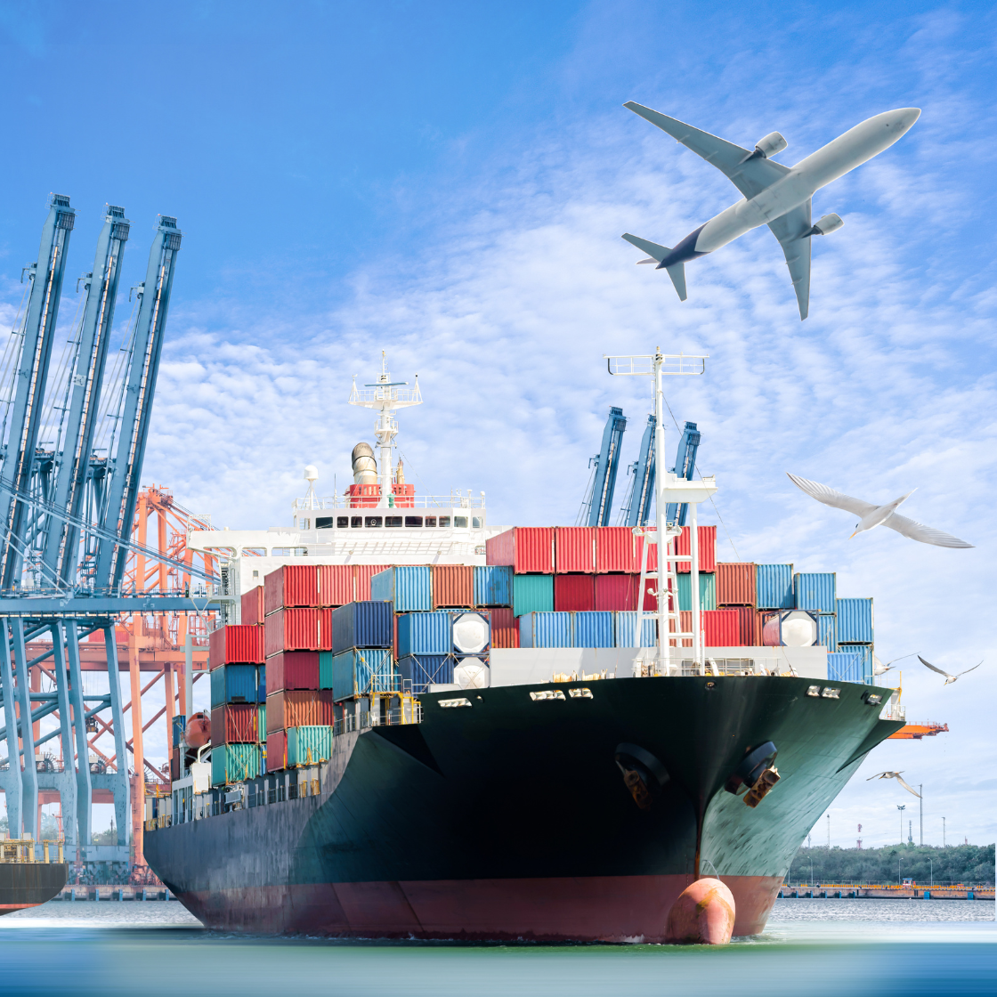 zevron-martialart-worldwide-shipping-fast-delivery-global-martial-arts-gear-supply